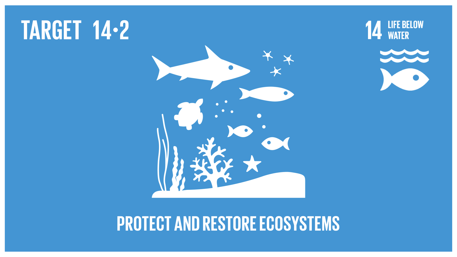 Graphic displaying the sustainable management and protection of marine and coastal ecosystems