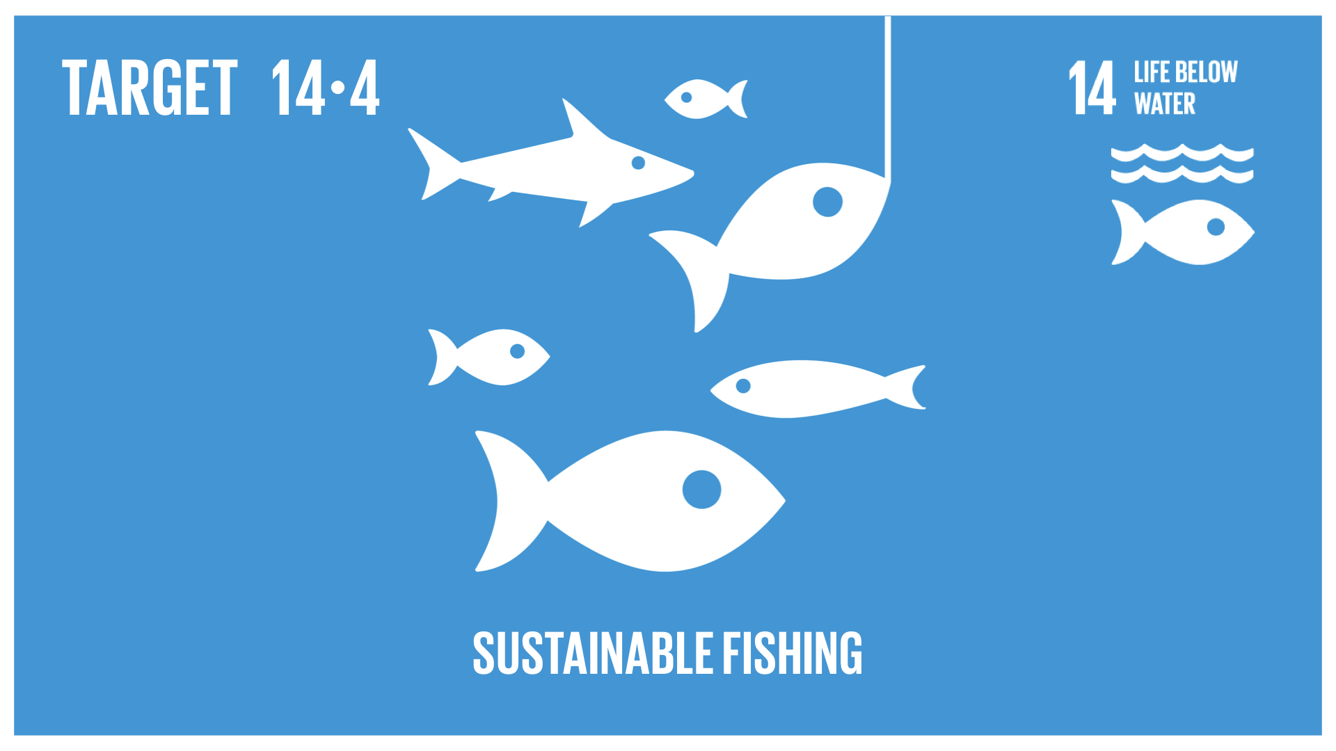 Graphic displaying sustainable fishing 