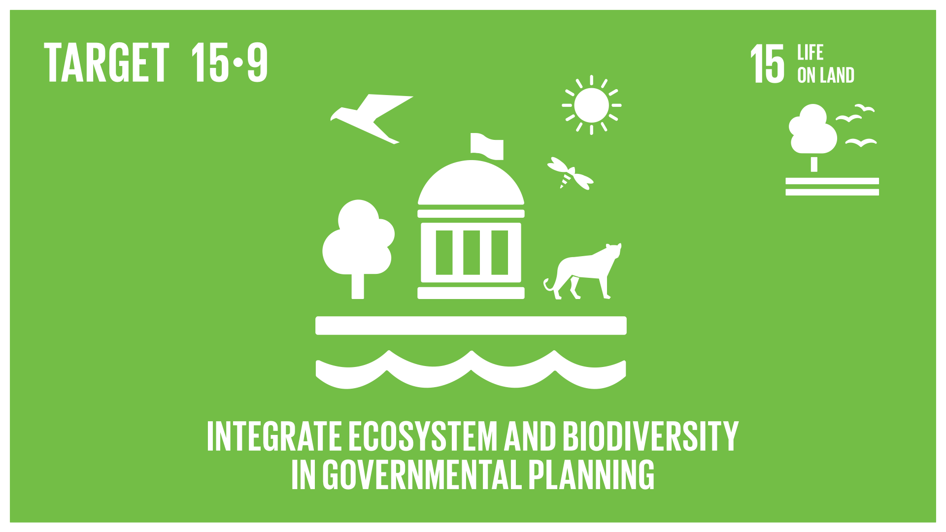 Graphic displaying the integration of ecosystems and biodiversity in government planning 