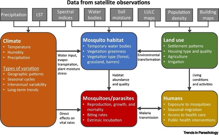 Figure 2: Modelling mosquito-borne diseases is a complex process. A multitude of factors must be considered by researchers to develop an accurate model for predicting disease outbreaks (Wimberly et al., 2021).