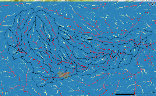 Flow accumultation in the Ngutunui region, New Zealand