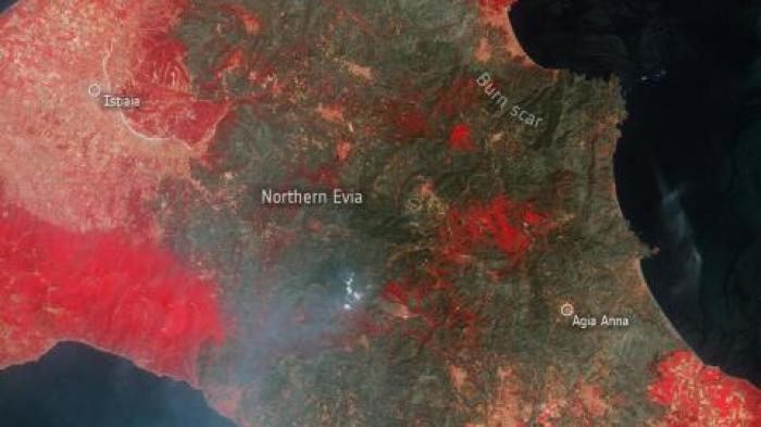 Image of wild fires in Greek island of Eviapillars