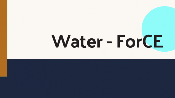 Water - ForCE logo