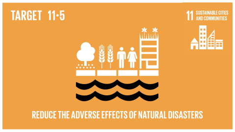 Graphic displaying the reduction of adverse effects of natural disasters 