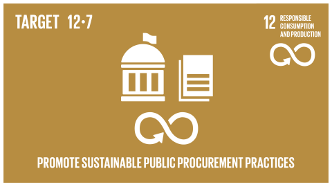 Graphic displaying the promotion of public procurement practices that are sustainable