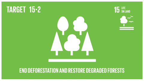 Graphic displaying an end to deforestation and the restoration of degraded forests 