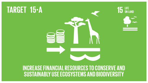 Graphic displaying increased financial resources to conserve and sustainably use ecosystems and biodiversity 
