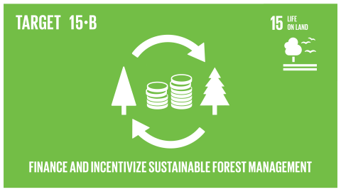Graphic displaying the financing and incentivising of sustainable forest management 