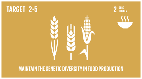 Graphic displaying the maintenance of genetic diversity in seeds, cultivated plants and farmed and domesticated animals and their related wild species