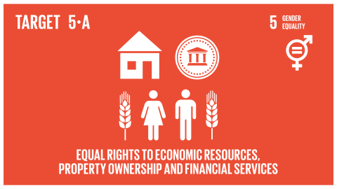 Graphic displaying equal rights to economic resources, and ownership and control over land and other forms of property, financial services, inheritance and natural resources