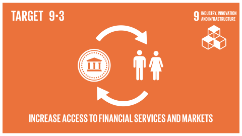 Graphic displaying the increased access to financial services and markets