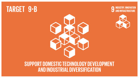 Graphic displaying the support for domestic technology development and industrial diversification 