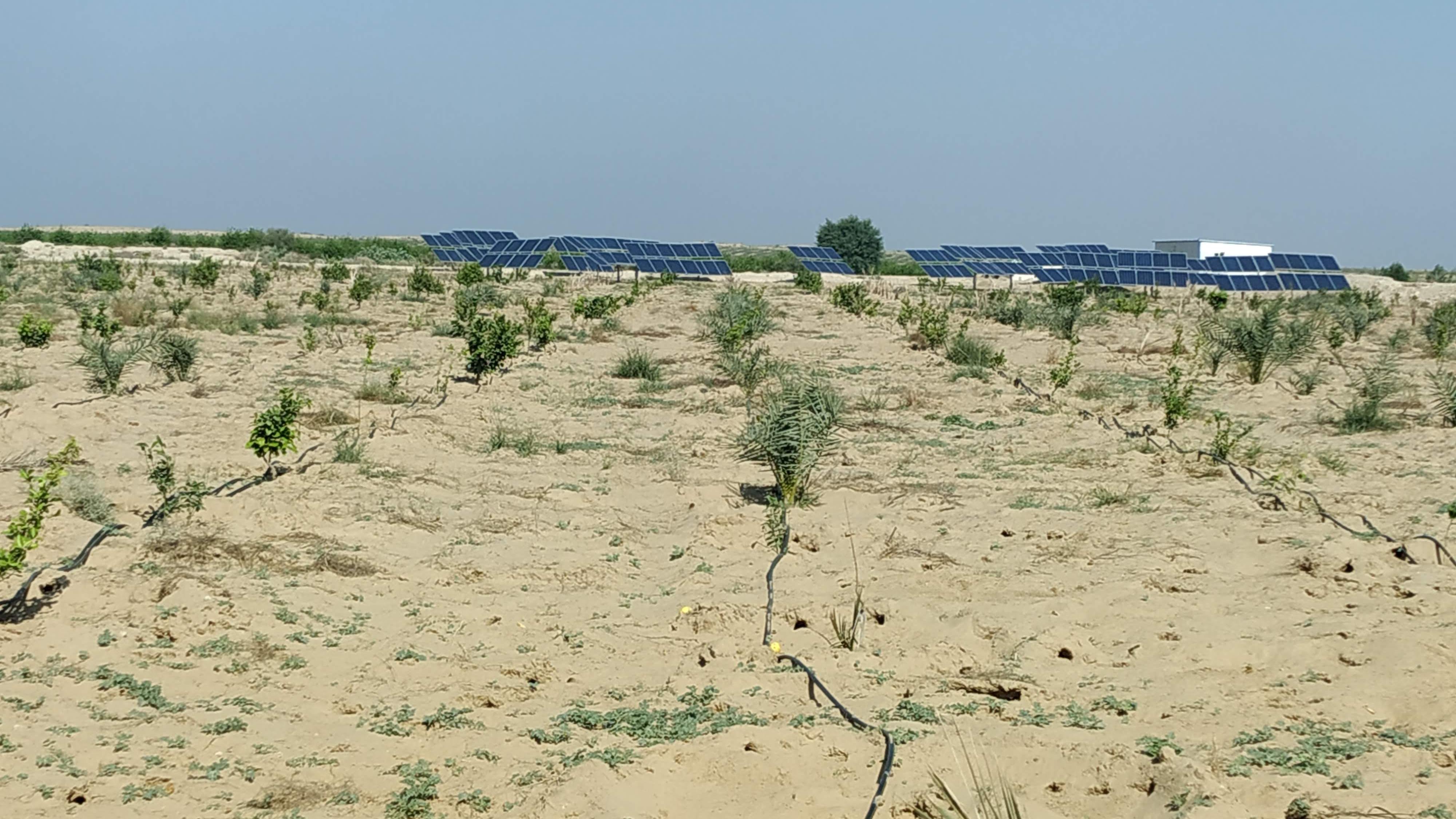Image of dry landscape and solar panels in the distance