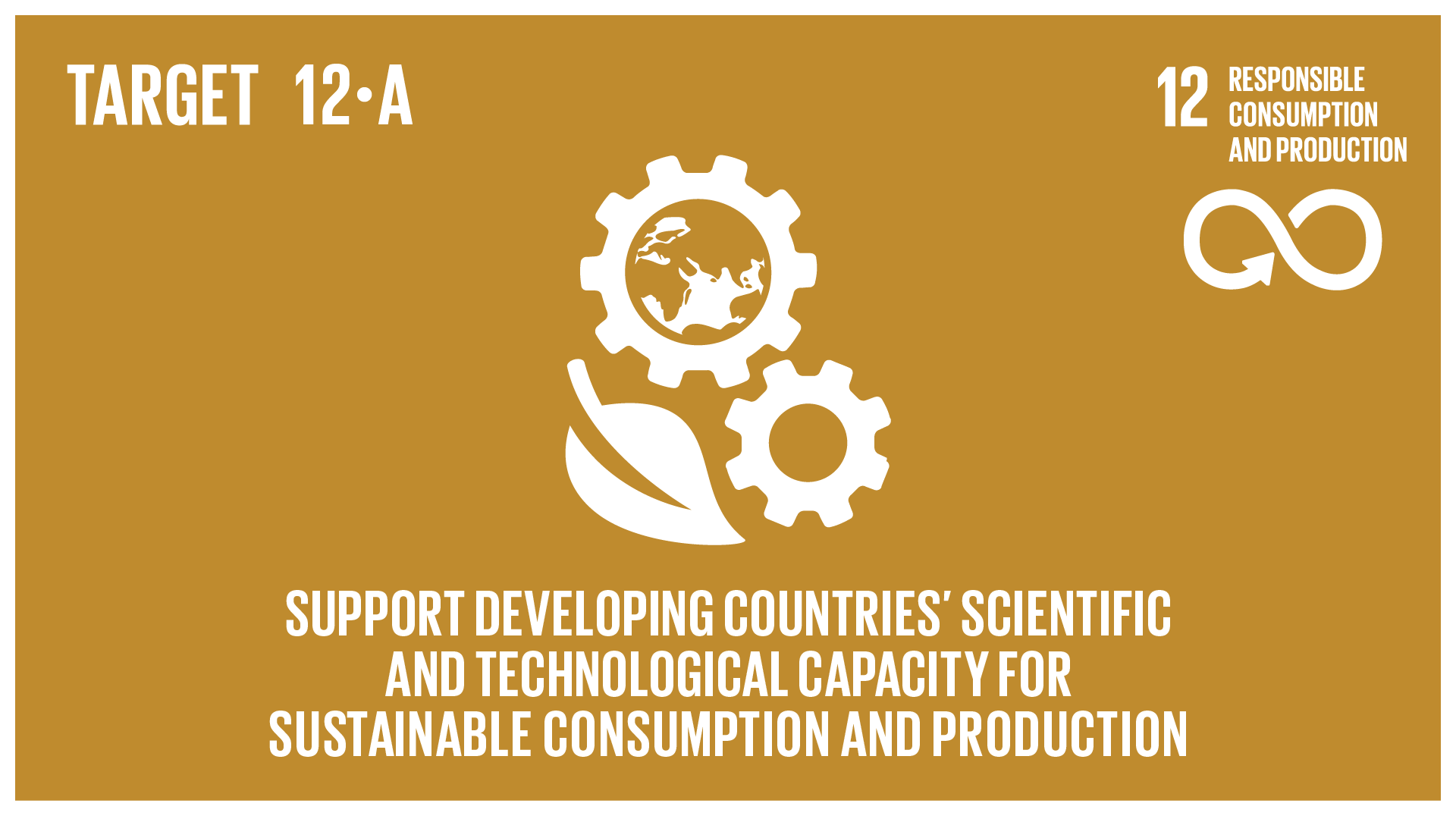 Graphic displaying support for developing countries in strengthening their scientific and technological capacity to move towards more sustainable patterns of consumption and production 