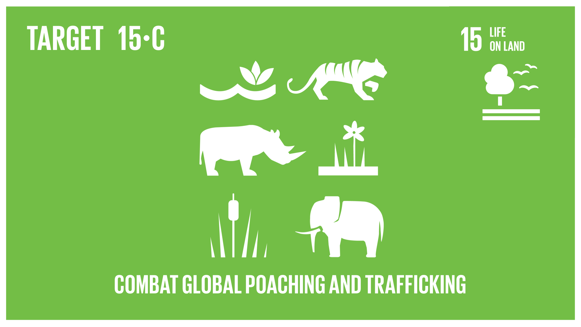 Graphic displaying the combatting of global poaching and trafficking 