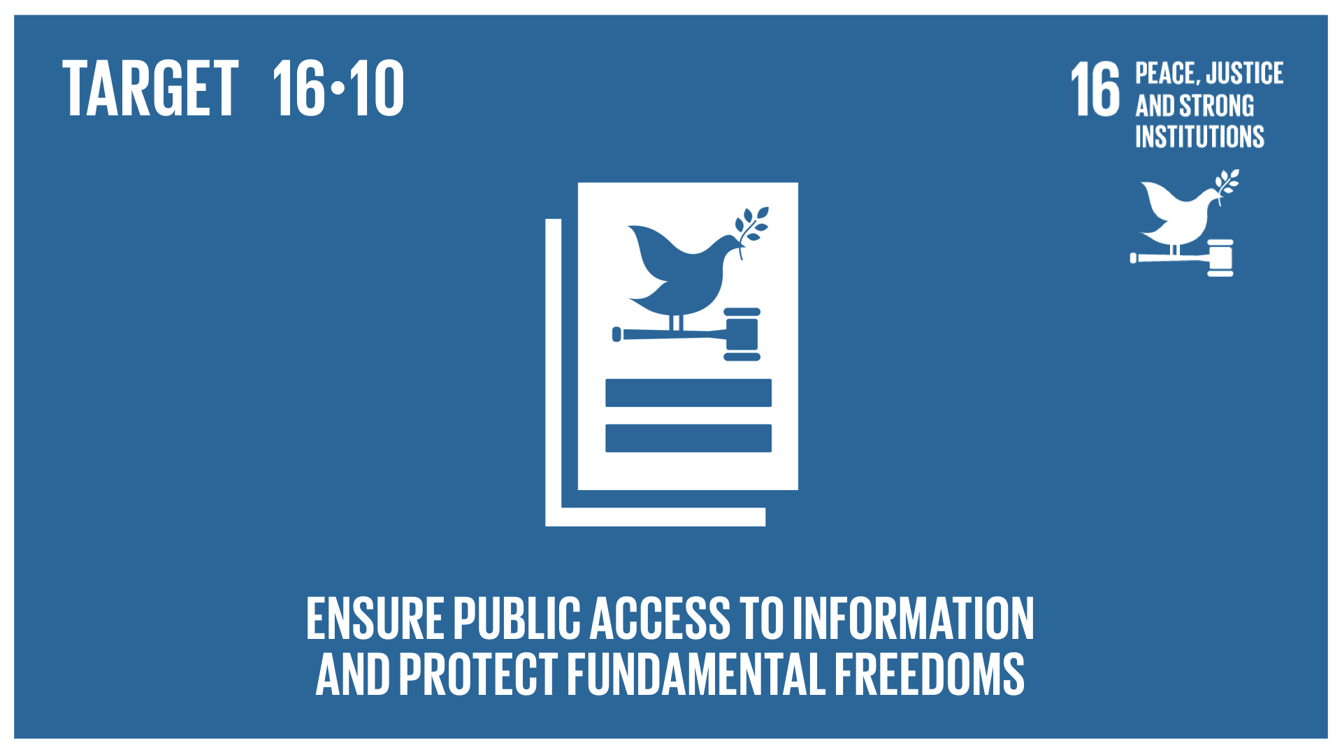 Graphic displaying the insurance of public access to information and the protection of fundamental freedoms 