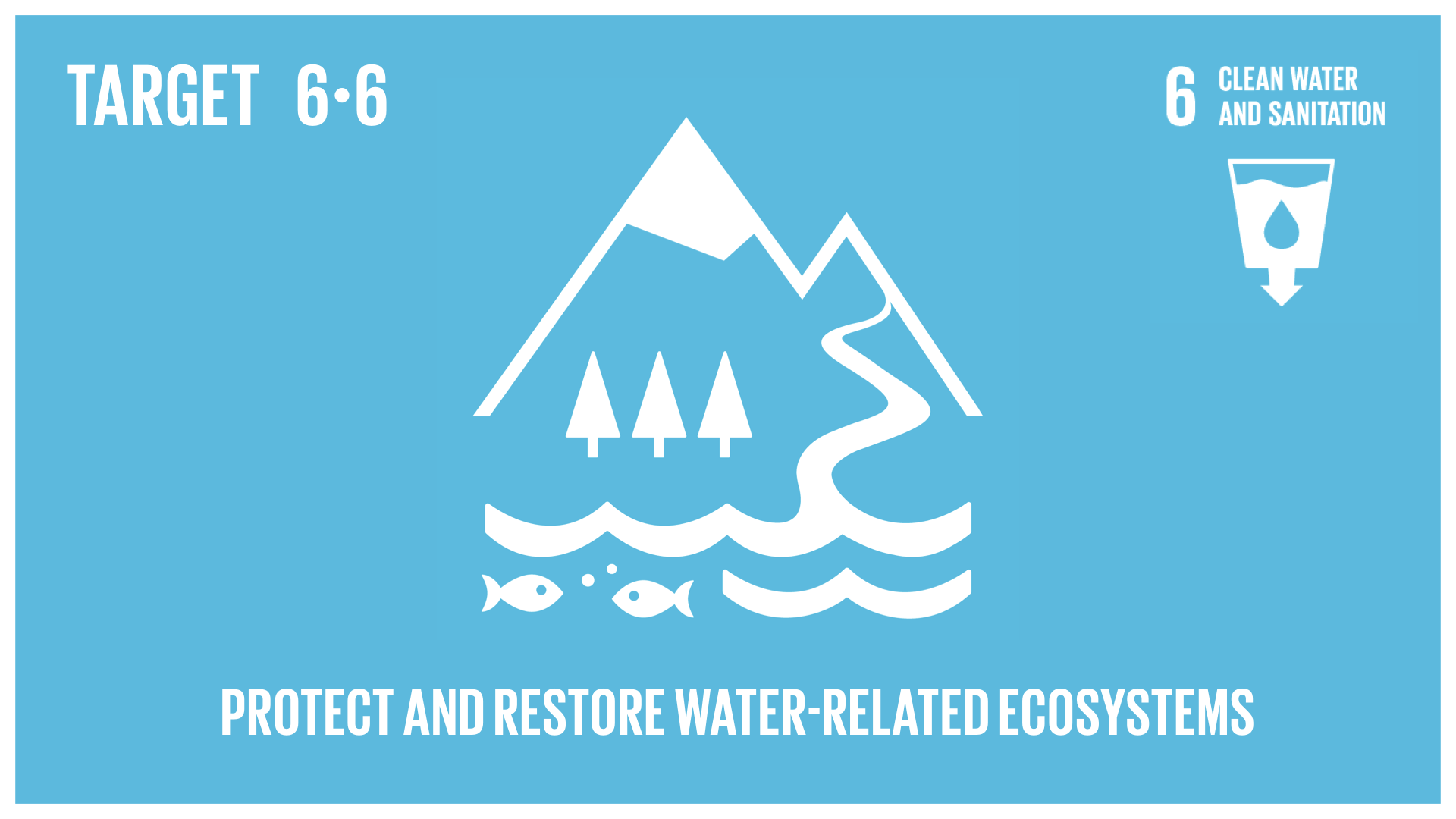 Graphic displaying the protection and restoration of water-related ecosystems