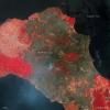 Image of wild fires in Greek island of Eviapillars